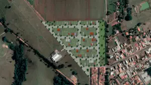 Recanto Feliz - Planta