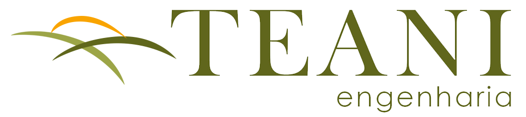 Teani Engenharia Logo